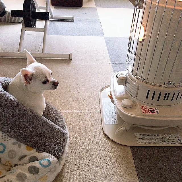 jereeeenさんの実例写真