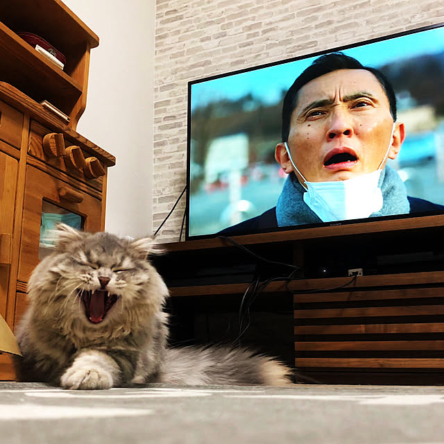 yuuchoさんの実例写真