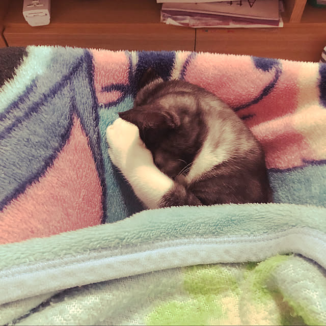 NEREさんの実例写真