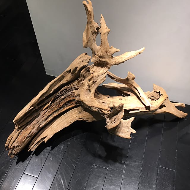 Shinsukeさんの実例写真