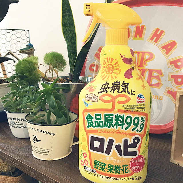 usavichさんの実例写真