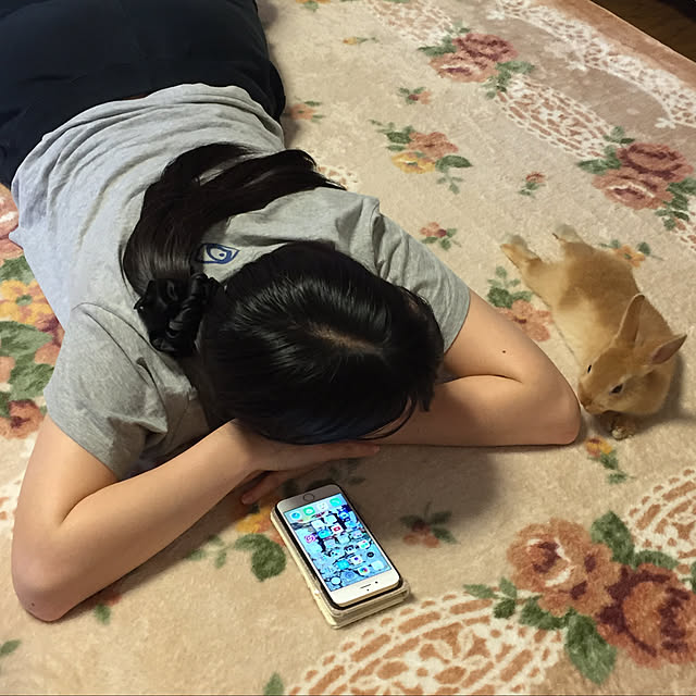 実例写真