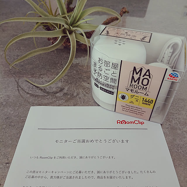 rinaさんの実例写真
