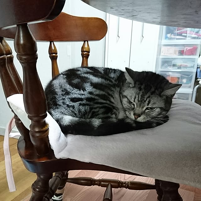ronさんの実例写真