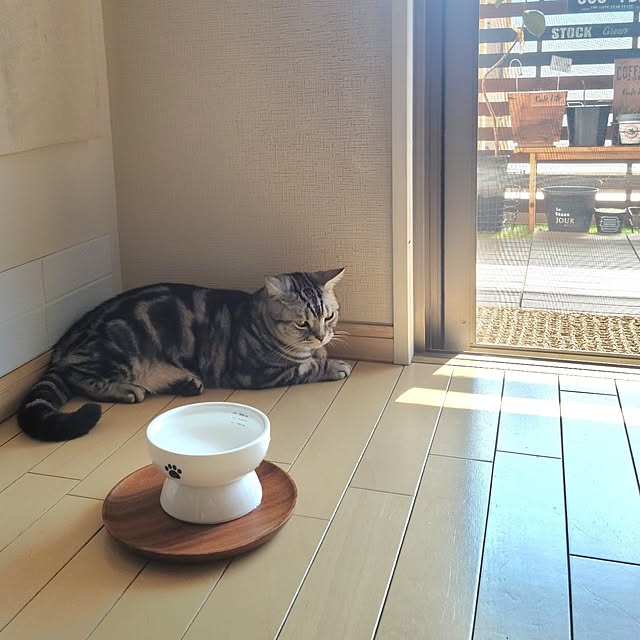 lovepeaceさんの部屋