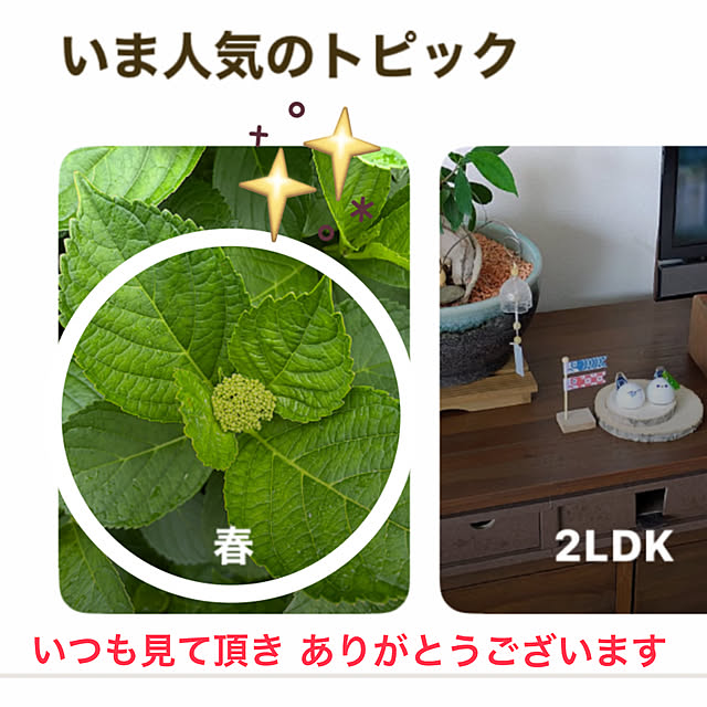 ritsukoさんの実例写真