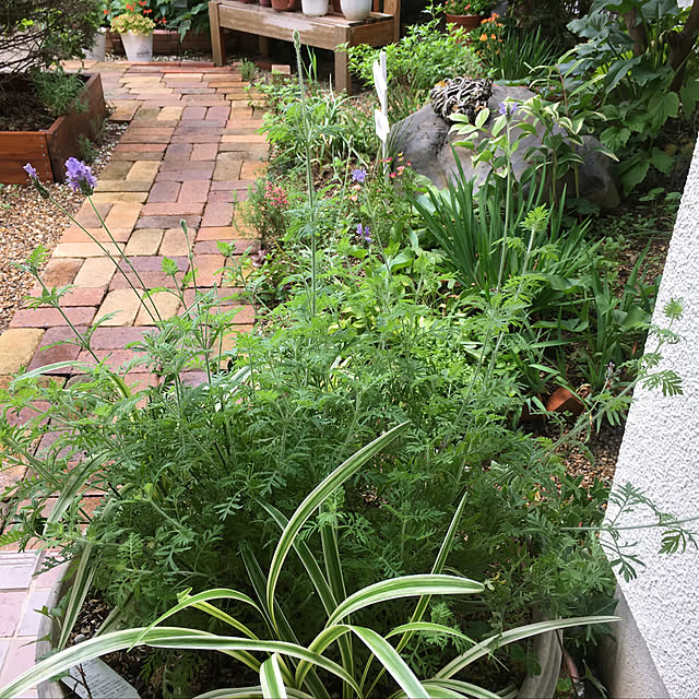Teresa.babaさんの実例写真