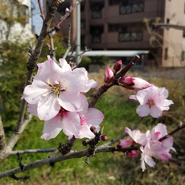 scrapheaven55さんの実例写真