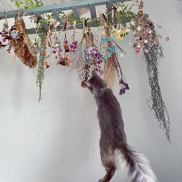 paradise_viewさんの実例写真