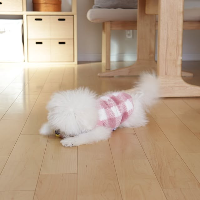 manaさんの部屋