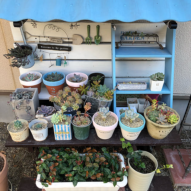 ckさんの実例写真