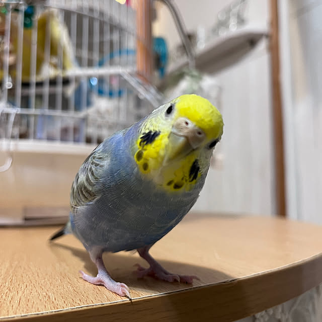 Atsukoさんの部屋