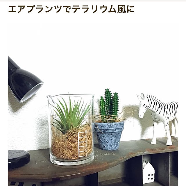 yuuさんの実例写真