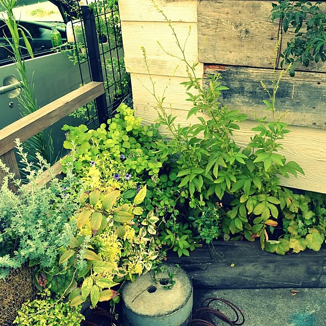 GreenWorksさんの実例写真