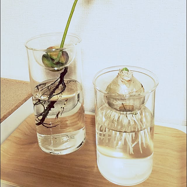 gonkoto7のスパイス-SPICE OF LIFE(スパイス) 水替えしやすい 水栽培ガラスベース 花瓶 BULB VASE バルブベース クリア ロング 直径8cm 高さ17cm KEGY4070の家具・インテリア写真