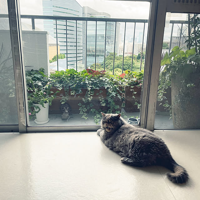 cocoさんの実例写真