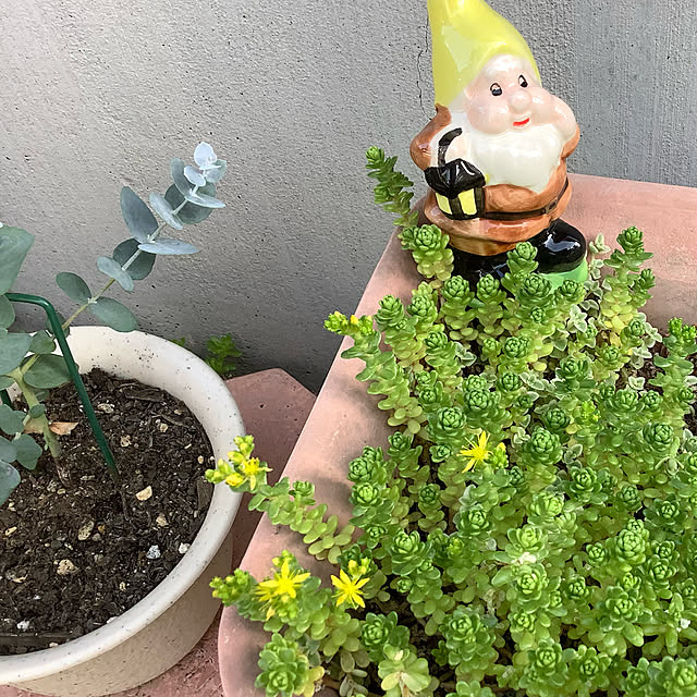 haruminさんの実例写真