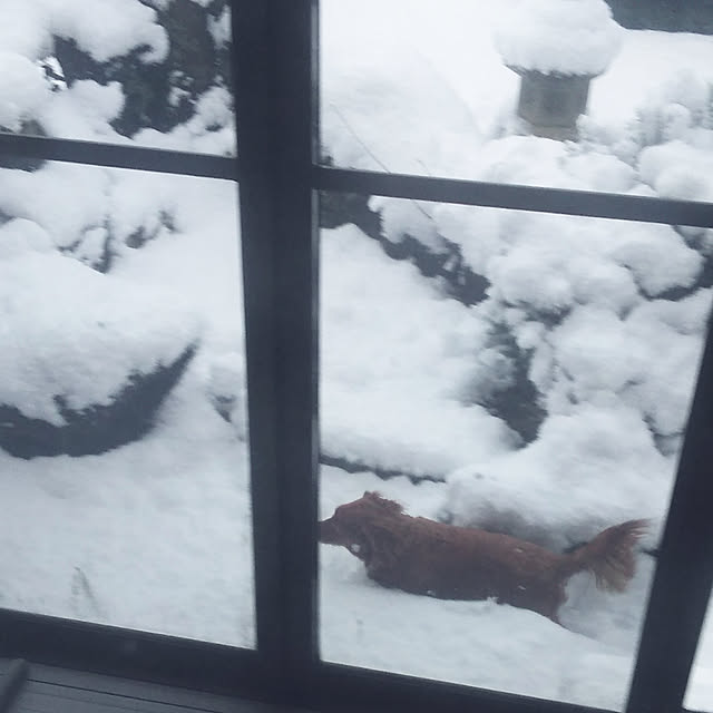 satoさんの実例写真