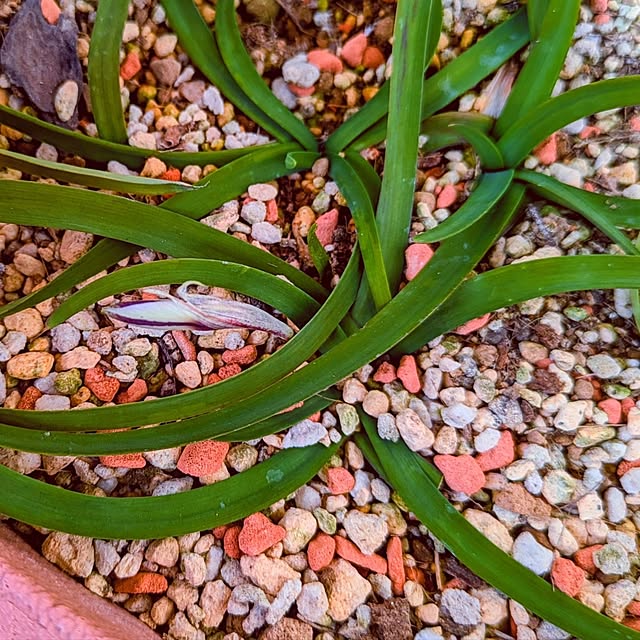 mi-saさんの部屋