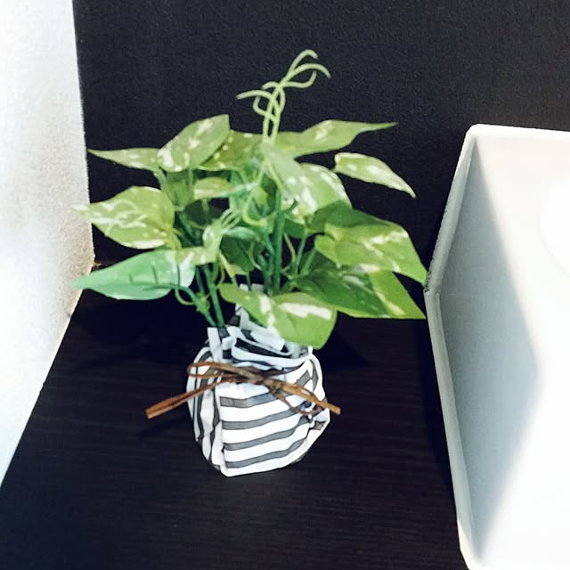 nanaさんの実例写真
