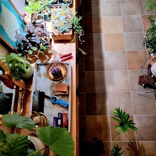 nonbiri_house_さんの実例写真