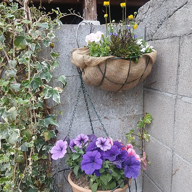 murasaki808さんの実例写真