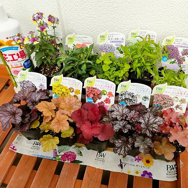VERANDARJUNさんの実例写真