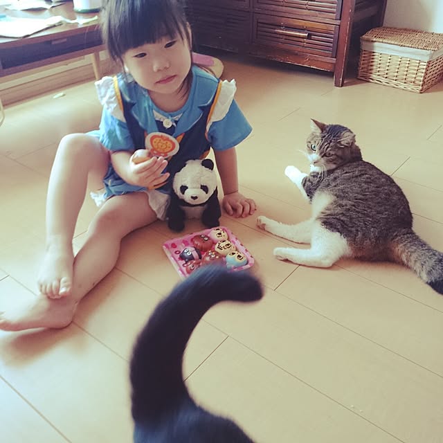 teruichiさんの実例写真