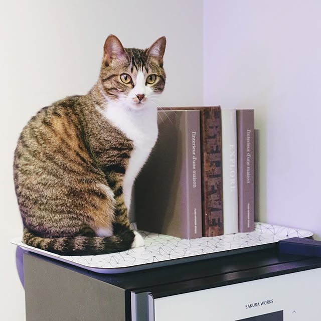 hanacocoさんの実例写真