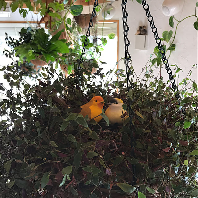 sakurasakuさんの実例写真
