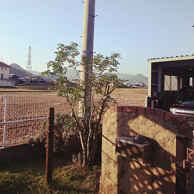 180447hiroさんの実例写真