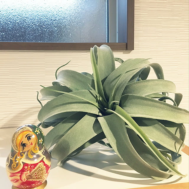 Melさんの実例写真