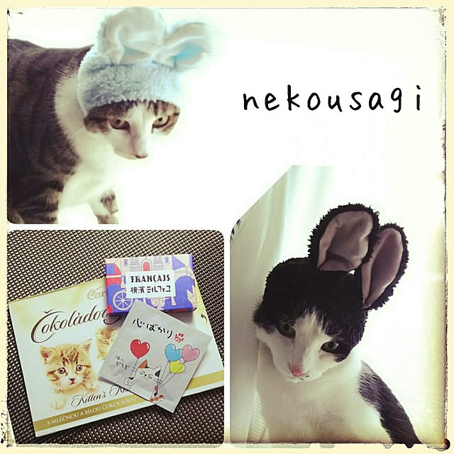 millsukeさんの実例写真