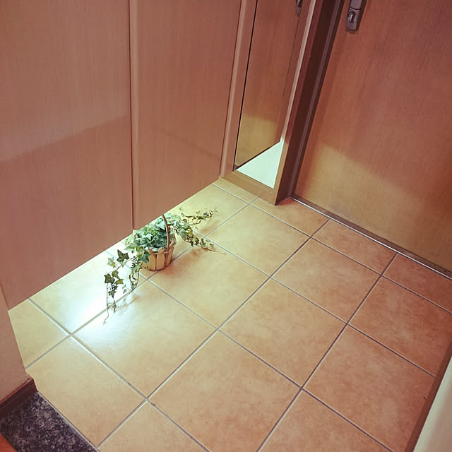 minchiさんの実例写真