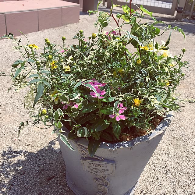RikuRikuさんの実例写真