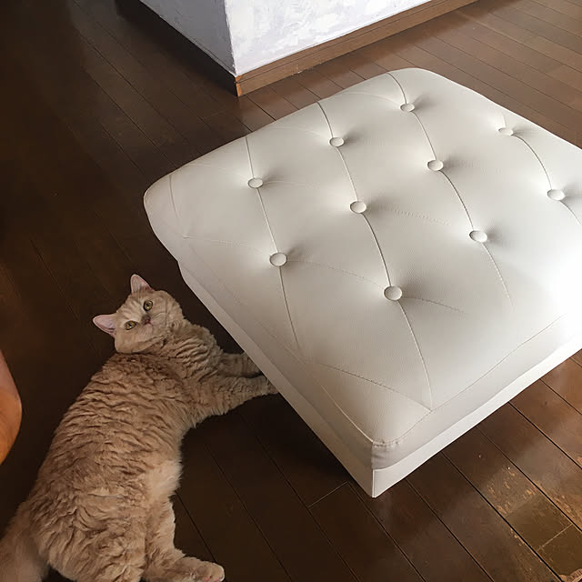 naokoさんの部屋