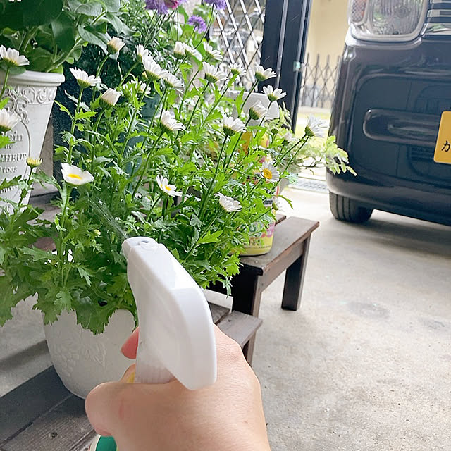 Dさんの部屋