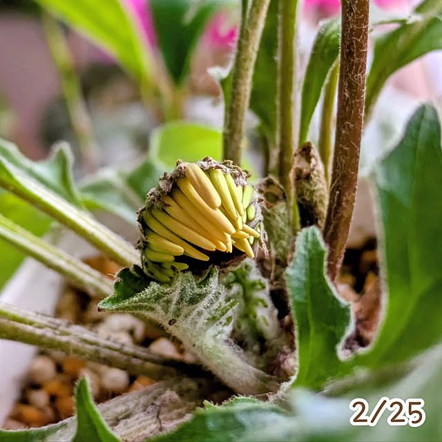 mi-saさんの部屋