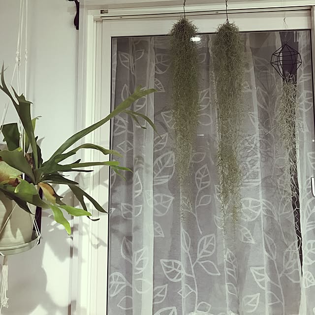 MiRiderさんの実例写真