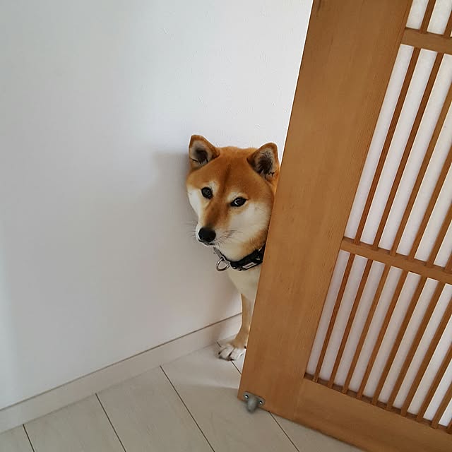 konatuさんの実例写真