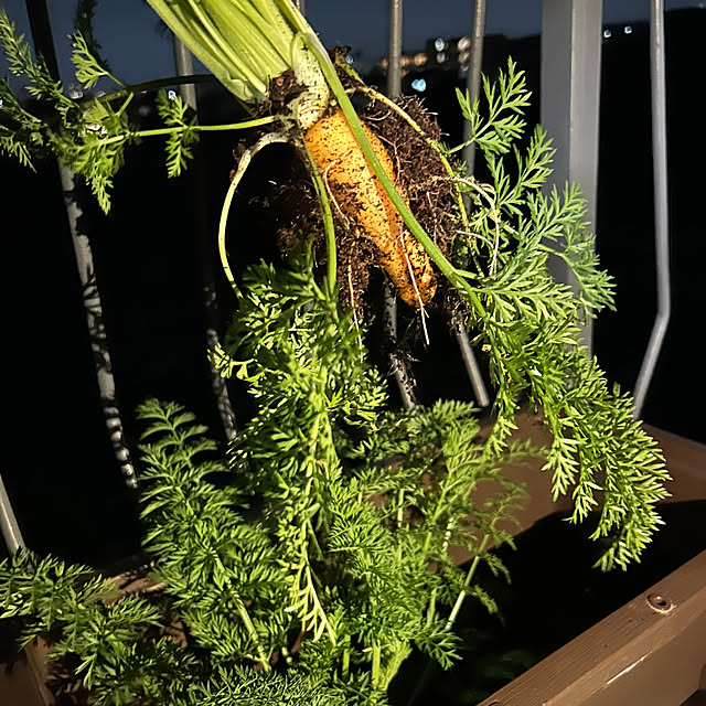 nee_roomさんの部屋