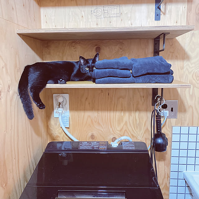 Hitomiさんの実例写真
