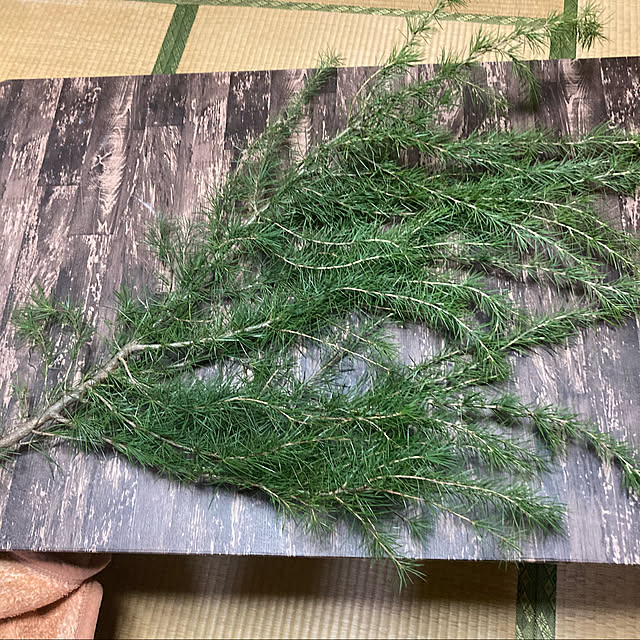 shoさんの実例写真