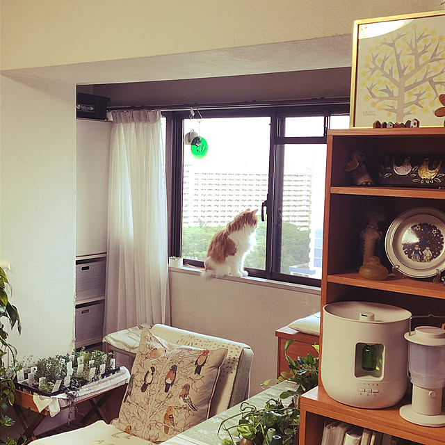 uchidaizuさんの実例写真