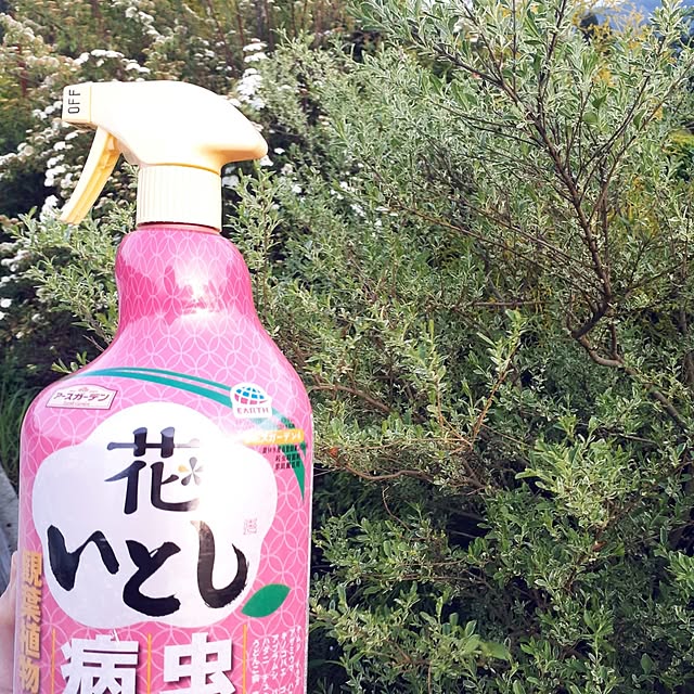 prepreさんの実例写真
