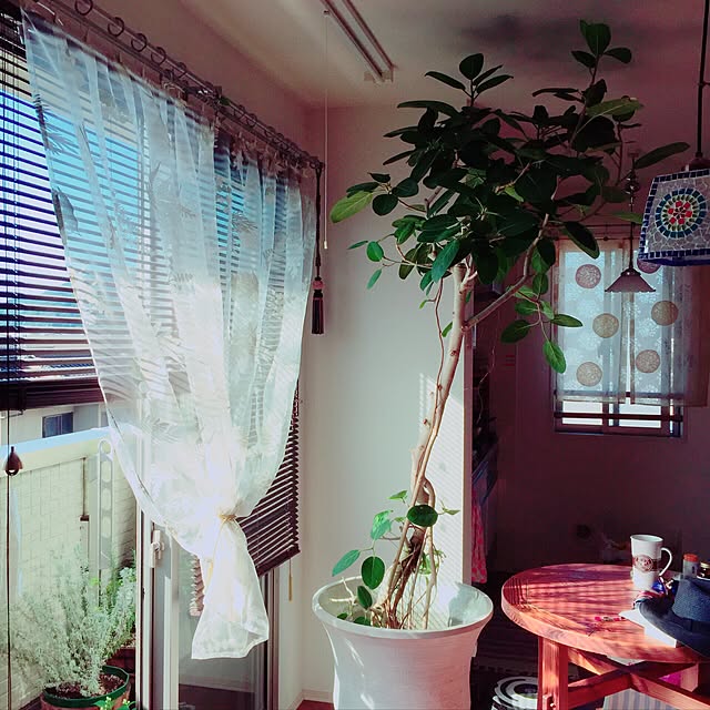 Rokkokkoさんの実例写真