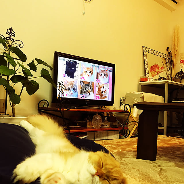m.kantoh18_mikkoさんの実例写真