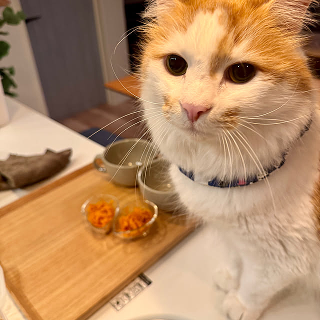 yutaさんの部屋