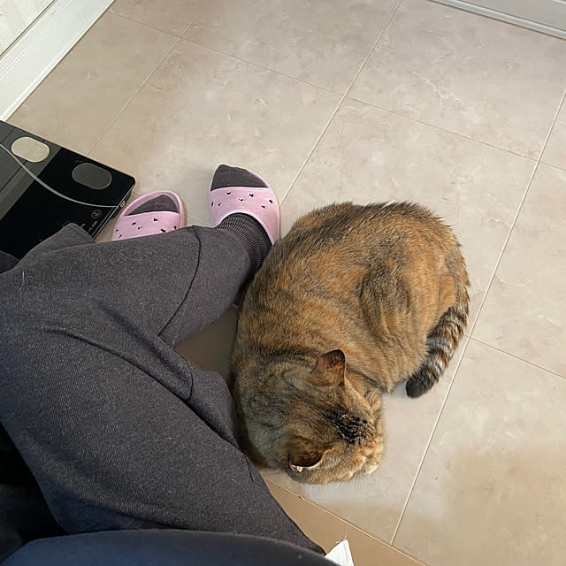 hansho.sさんの実例写真