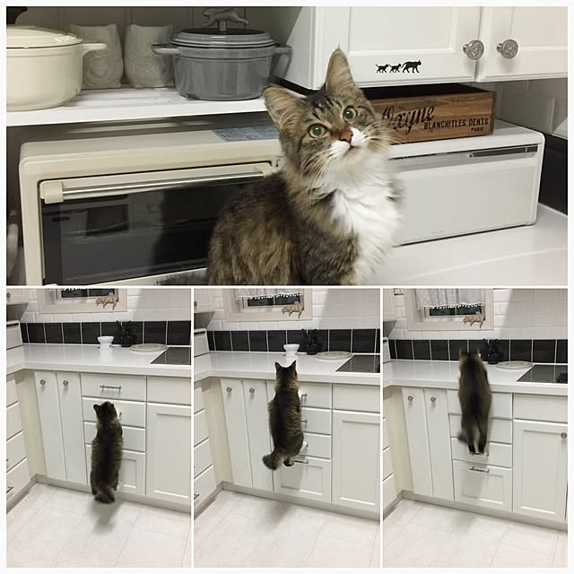 yuchiさんの実例写真